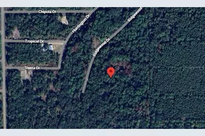 205 Siesta Drive, Georgetown, FL 32139 - Photo 1