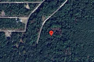 205 Siesta Dr, Georgetown, FL 32139 - Photo 1