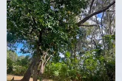 9650 SE US Highway 441, Belleview, FL 34420 - Photo 11