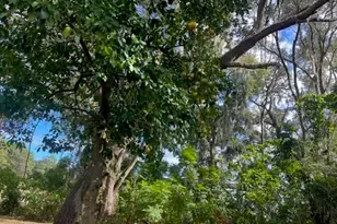 9650 SE US Hwy 441, Belleview, FL 34420 - Photo 11