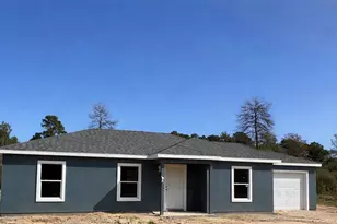 21 Fisher Pl, Ocklawaha, FL 32179 - Photo 1