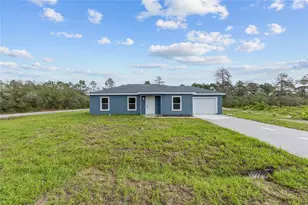 21 Fisher Pl, Ocklawaha, FL 32179 - Photo 3