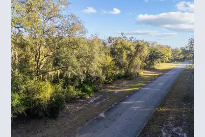 Tbd SW 174 Place, Ocala, FL 34473 - Photo 3