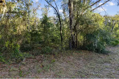 Tbd SW 174 Place, Ocala, FL 34473 - Photo 7