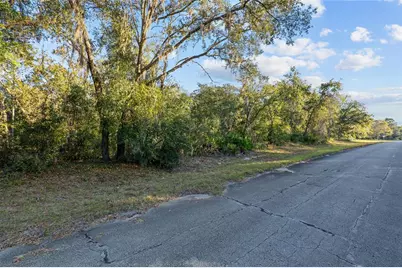 Tbd SW 174 Place, Ocala, FL 34473 - Photo 1