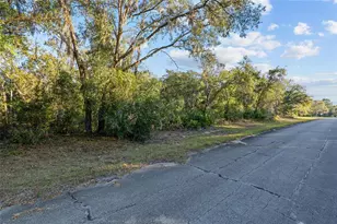 Tbd SW 174 Pl, Ocala, FL 34473 - Photo 1
