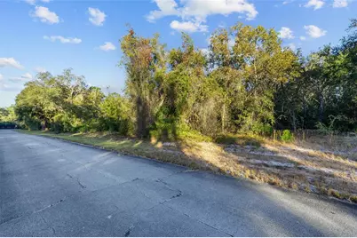 Tbd SW 174 Place, Ocala, FL 34473 - Photo 5