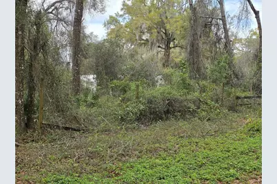 00 SE 30th Avenue, Summerfield, FL 34491 - Photo 3