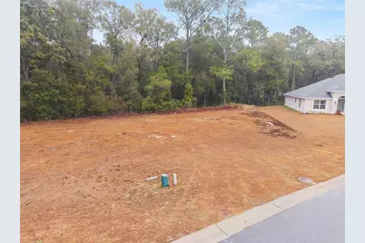 Tbd NE 58th Circle, Silver Springs, FL 34488 - Photo 7