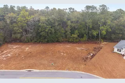 Tbd NE 58th Circle, Silver Springs, FL 34488 - Photo 1