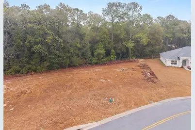 Tbd NE 58th Circle, Silver Springs, FL 34488 - Photo 3