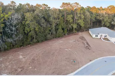 Tbd NE 58th Circle, Silver Springs, FL 34488 - Photo 17