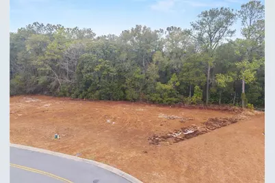 Tbd NE 58th Circle, Silver Springs, FL 34488 - Photo 5