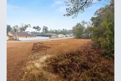 Tbd NE 58th Circle, Silver Springs, FL 34488 - Photo 9