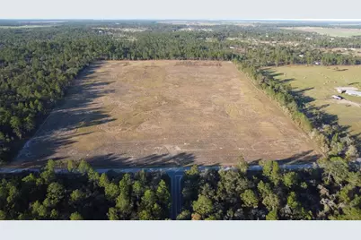 14231 SE 80th Street, Morriston, FL 32668 - Photo 1