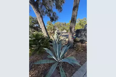 25142 NE 143rd Place #81, Fort Mc Coy, FL 32134 - Photo 13