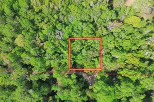 Tbd SE 41st Terrace, Belleview, FL 34420 - Photo 1