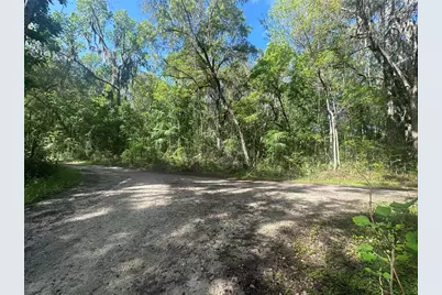 Tbd SE 41st Terrace, Belleview, FL 34420 - Photo 3