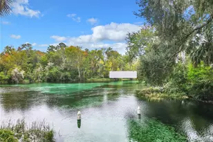 10043 SW 202nd Cir, Dunnellon, FL 34431 - Photo 65