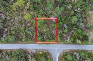 Tbd Malauka Ln, Ocklawaha, FL 32179 - Photo 1