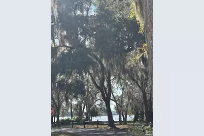 25146 NE 140th Loop #71, Salt Springs, FL 32134 - Photo 1