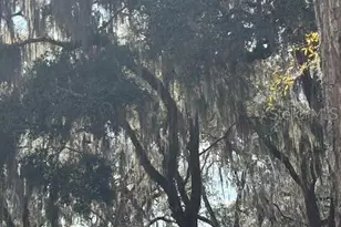 25146 NE 140th Loop, Salt Springs, FL 32134 - Photo 1