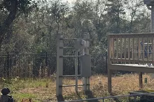 15594 NE 233rd Pl, Fort Mc Coy, FL 32134 - Photo 11