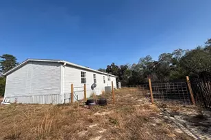 15594 NE 233rd Pl, Fort Mc Coy, FL 32134 - Photo 9