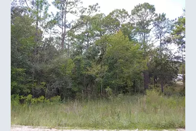 Tbd SE 150th Avenue, Morriston, FL 32668 - Photo 1