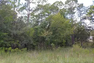 150th Ave, Morriston, FL 32668 - Photo 1