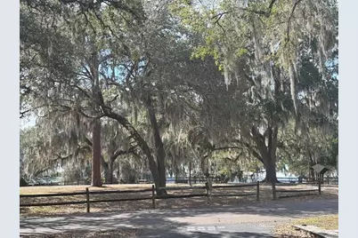 25287 NE 139th Lane #286, Salt Springs, FL 32134 - Photo 7