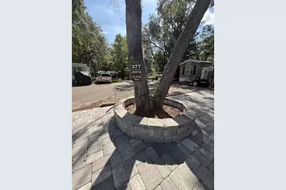 25314 NE 141st Street, Salt Springs, FL 32134 - Photo 5