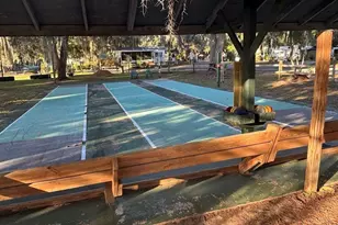 25203 NE 141st Ln, Salt Springs, FL 32134 - Photo 29