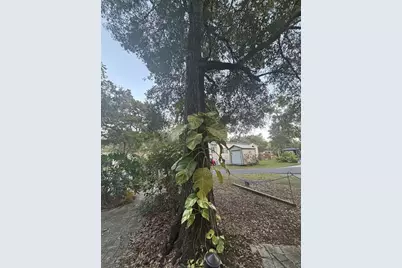 25203 NE 141st Lane #254, Salt Springs, FL 32134 - Photo 7