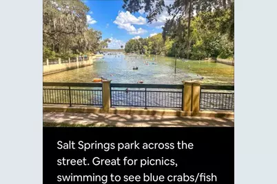 25203 NE 141st Lane #254, Salt Springs, FL 32134 - Photo 31