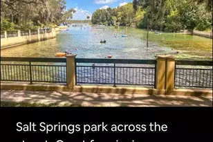 25203 NE 141st Ln, Salt Springs, FL 32134 - Photo 31