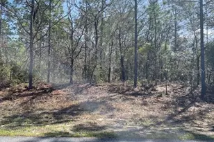 4707 N Sacramento Ave, Beverly Hills, FL 34465 - Photo 1