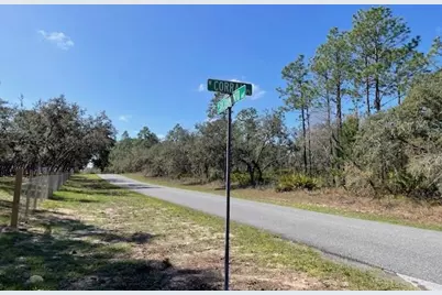 4707 N Sacramento Avenue, Beverly Hills, FL 34465 - Photo 3