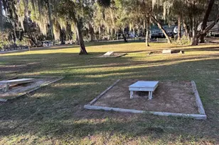 25235 NE 143rd Pl, Salt Springs, FL 32134 - Photo 37