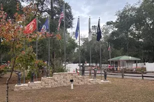 25246 NE 143rd St, Salt Springs, FL 32134 - Photo 61