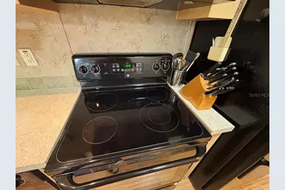 25246 NE 143rd Street #181, Salt Springs, FL 32134 - Photo 25