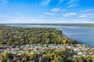942 Cr 461, Lake Panasoffkee, FL 33538 - Photo 3