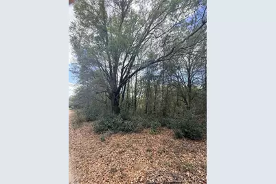 Lots 31-33 NW 52nd Avenue, Ocala, FL 34482 - Photo 5