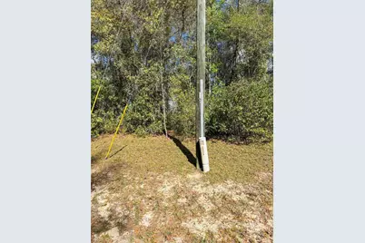 0 SW 19th Ave Road #3, Ocala, FL 34473 - Photo 5