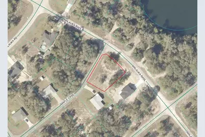 Lot 1 Maluka Radial, Ocklawaha, FL 32179 - Photo 5