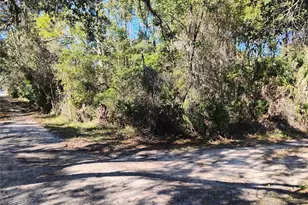 Marie Ave, Deland, FL 32720 - Photo 1