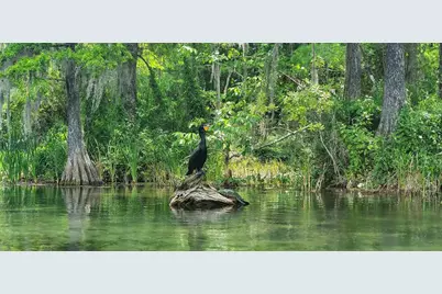 9916 SW 189th Circle, Dunnellon, FL 34432 - Photo 67