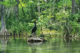 9916 SW 189th Cir, Dunnellon, FL 34432 - Photo 67