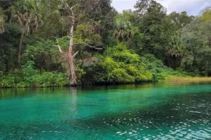 9916 SW 189th Cir, Dunnellon, FL 34432 - Photo 71