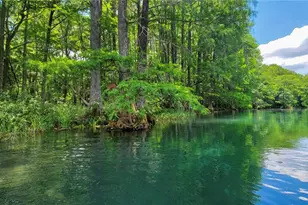 9916 SW 189th Cir, Dunnellon, FL 34432 - Photo 69